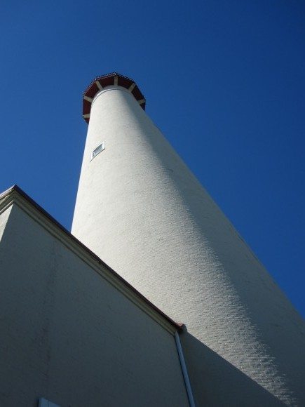 Ant's view of the Cape May Lighthouse