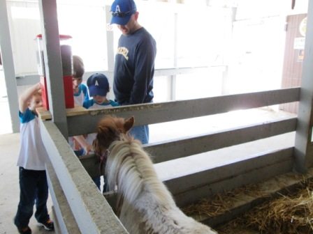 Feeding animals at Amish Village