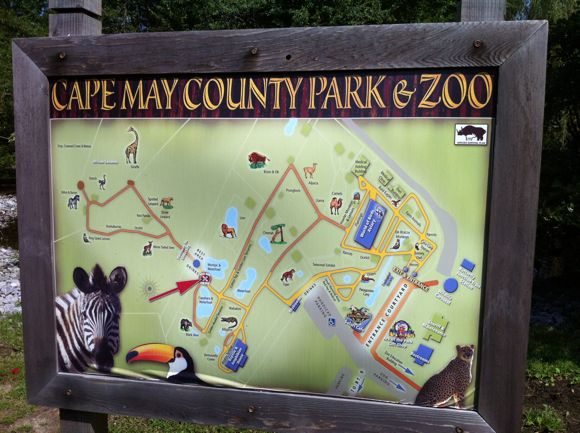 A Map of the Cape May County Park & Zoo