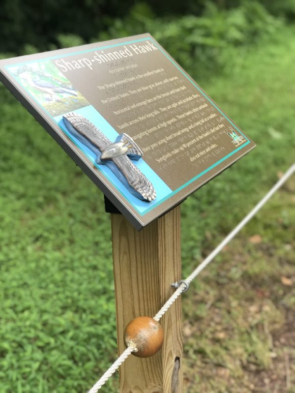 a rope and a wooden ball help guide the blind along the Watchung Reservation Sensory Trail at the Trailside Nature and Science Center in Mountainside, New Jersey