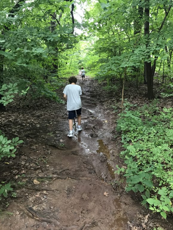 Hike the Watchung Reservation near the Trailside Nature Center.