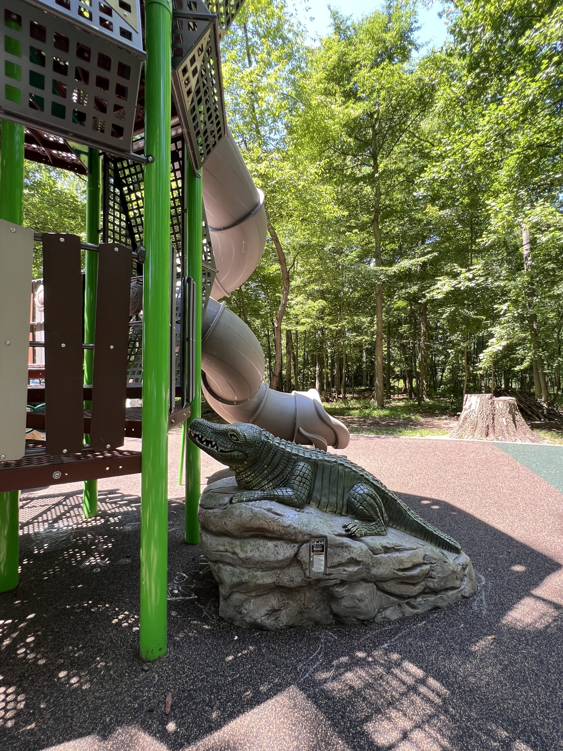 Nomahegan Park Playground in Cranford NJ - Features - alligator step up TALL image