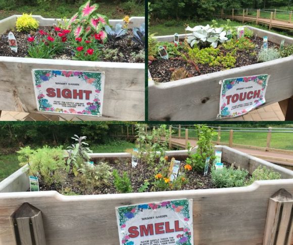 Raised garden bed in the sensory garden of the Trailside Nature Center focuses on touching plants with unique textures, smelling plants with unique smells, and seeing plants that are visually stimulating.