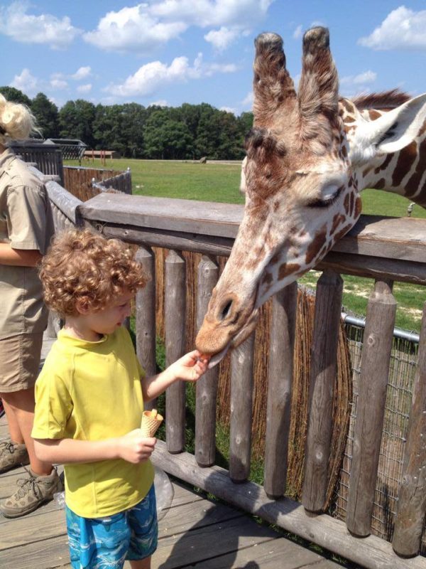 Six Flags Great Adventure Safari