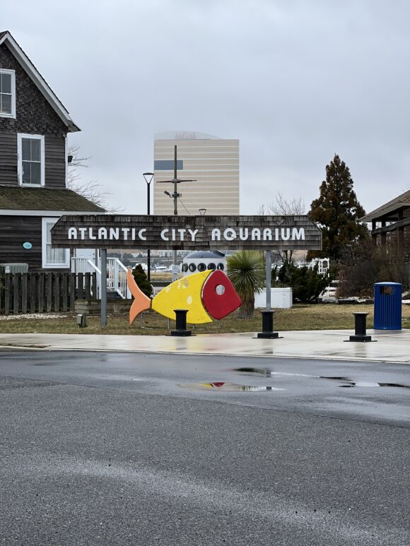 Atlantic City Aquarium sign as pictured on February 2, 2024