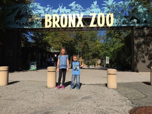 Bronx Zoo has suggested admission days! Count this as one of your free places to go in NYC