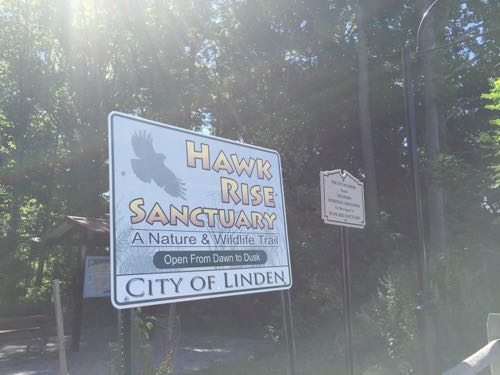 Entrance to Hawk Rise Sanctuary