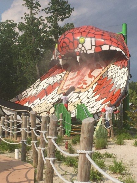 Hurricane Harbor Cobra