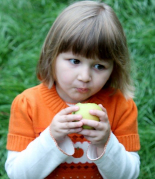 apple picking at New Jersey apple orchards