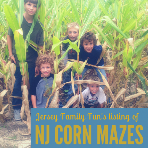 New Jersey Corn Mazes