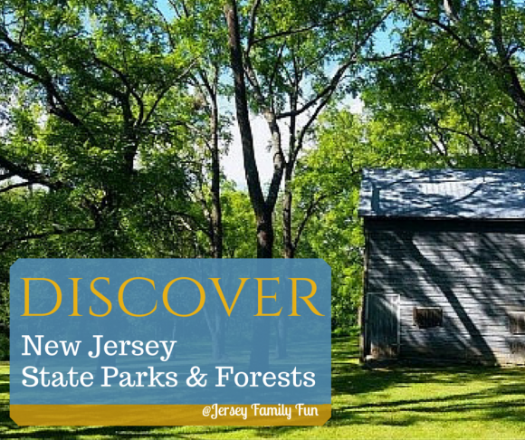 New Jersey State Parks and Forests
