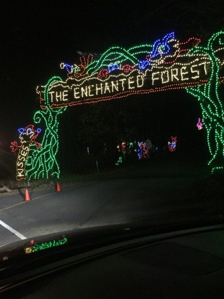 Hershey Sweet Lights Enchanted Forest