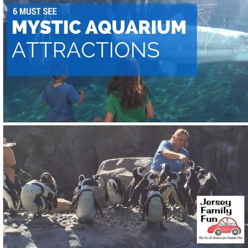 mysticaquariumpinnable