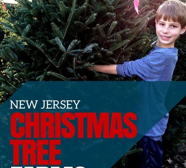 New Jersey Christmas Tree Farms