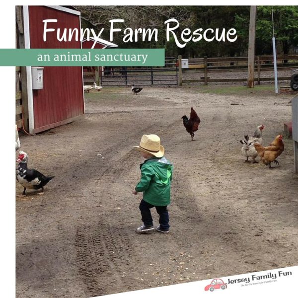 Funny Farm Atlantic County Animal Rescue Center