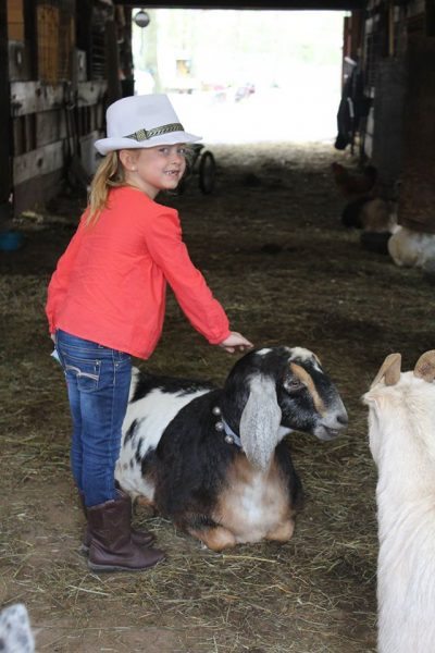 with goat at Funny Farm Animal Rescue in Mays Landing NJ