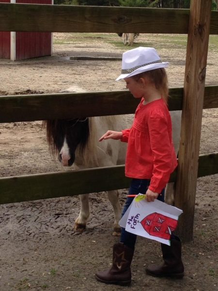 Funny Farm Animal Rescue in Mays Landing, New Jersey