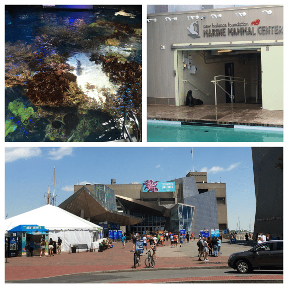 New England Aquarium