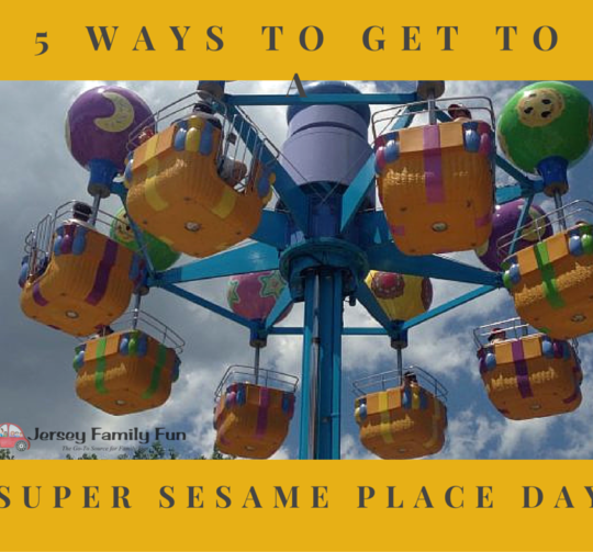 Sesame Place Attractions