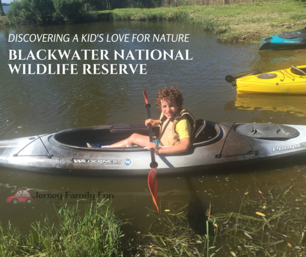 Blackwater National Wildlife Reserve