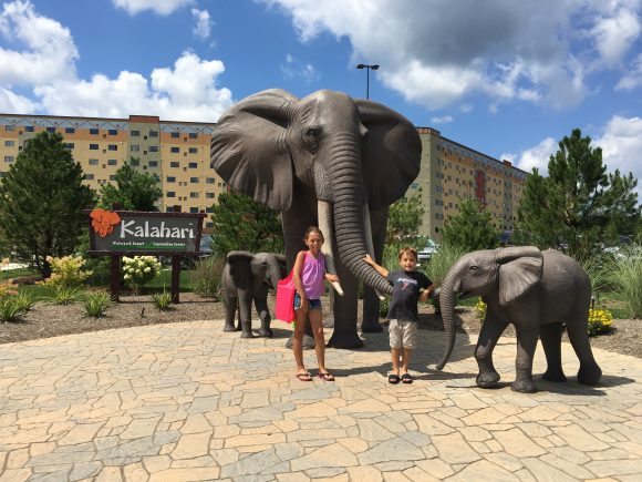 A menagerie of animals to greet you as you approach the entrance to Kalahari Resorts!