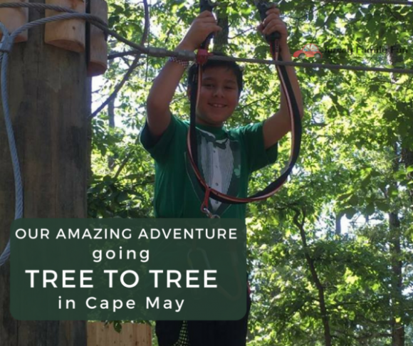 Tree to Tree Adventure Park in Cape May