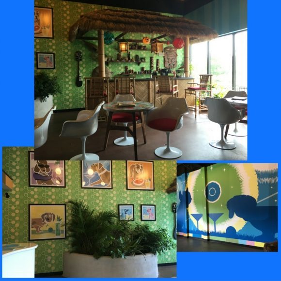 inside of the barker lounge a pet hotel in New Jersey