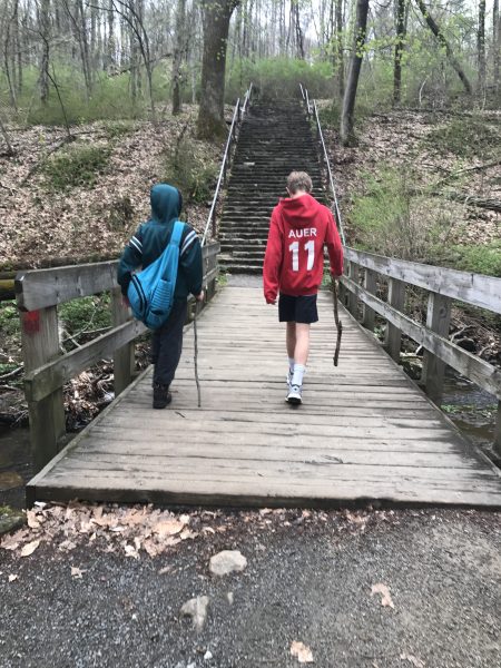 Hacklebarney State Park in Long Valley New Jersey