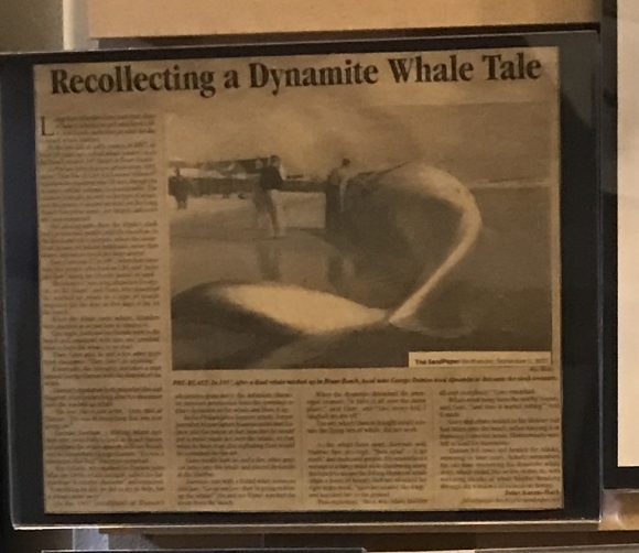 1957 Whale explosion exhibit at the New Jersey Maritime Museum in Beach Haven New Jersey.
