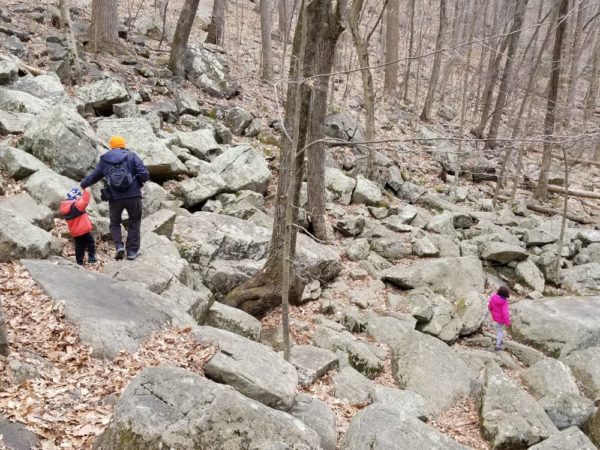 Hacklebarney State Park Hiking Trails