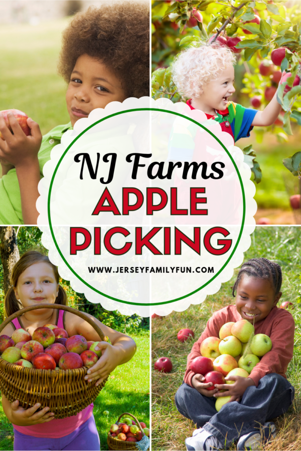 New Jersey farms with apple picking pinterest image