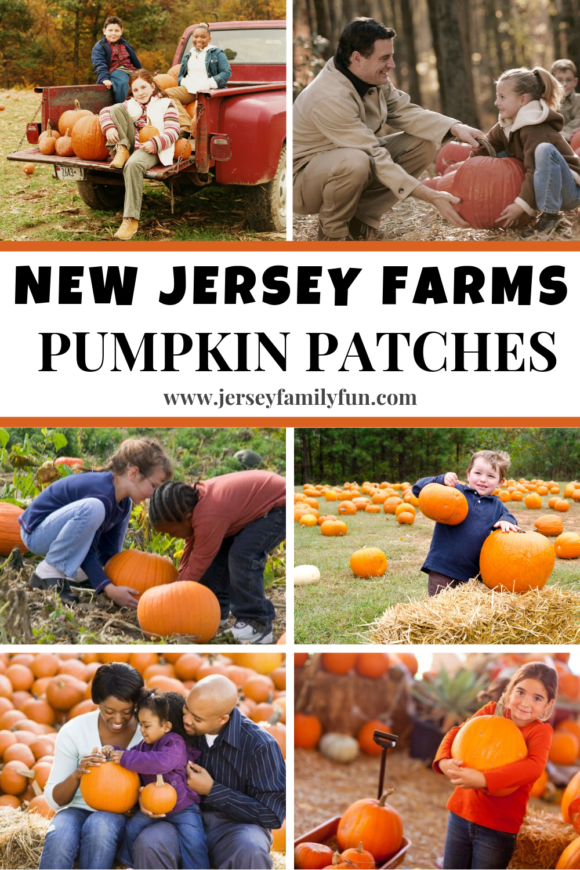 New Jersey pumpkin patches pinterest