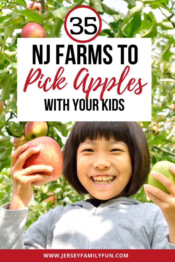NJ farms with apple orchards