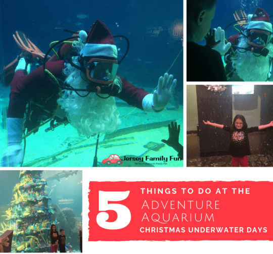 5 Things to do at the Adventure Aquarium Christmas Underwater Days