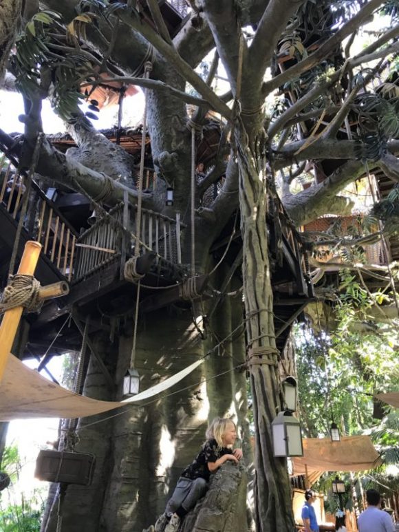 The backside of the secret playground at Disneyland.