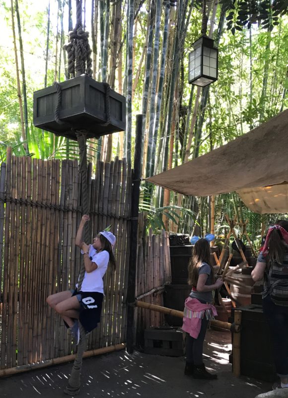 Tarzan's Treehouse climb the rope