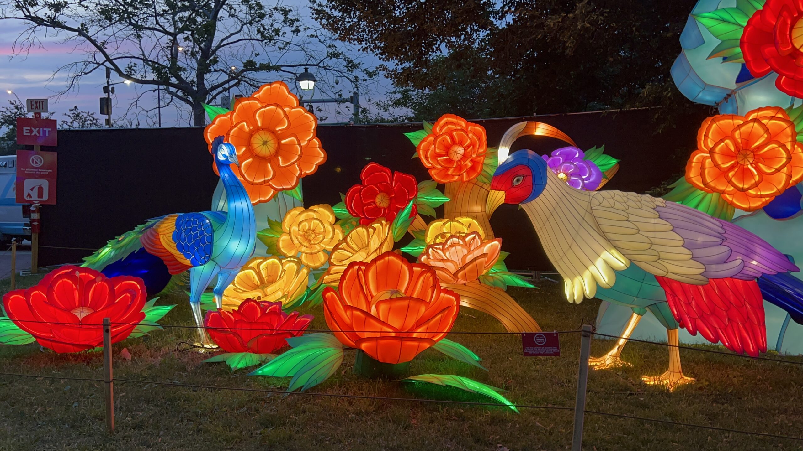 Birds and Flowers at Philadelphia Chinese Lantern Festival lit up at night close up of birds WIDE