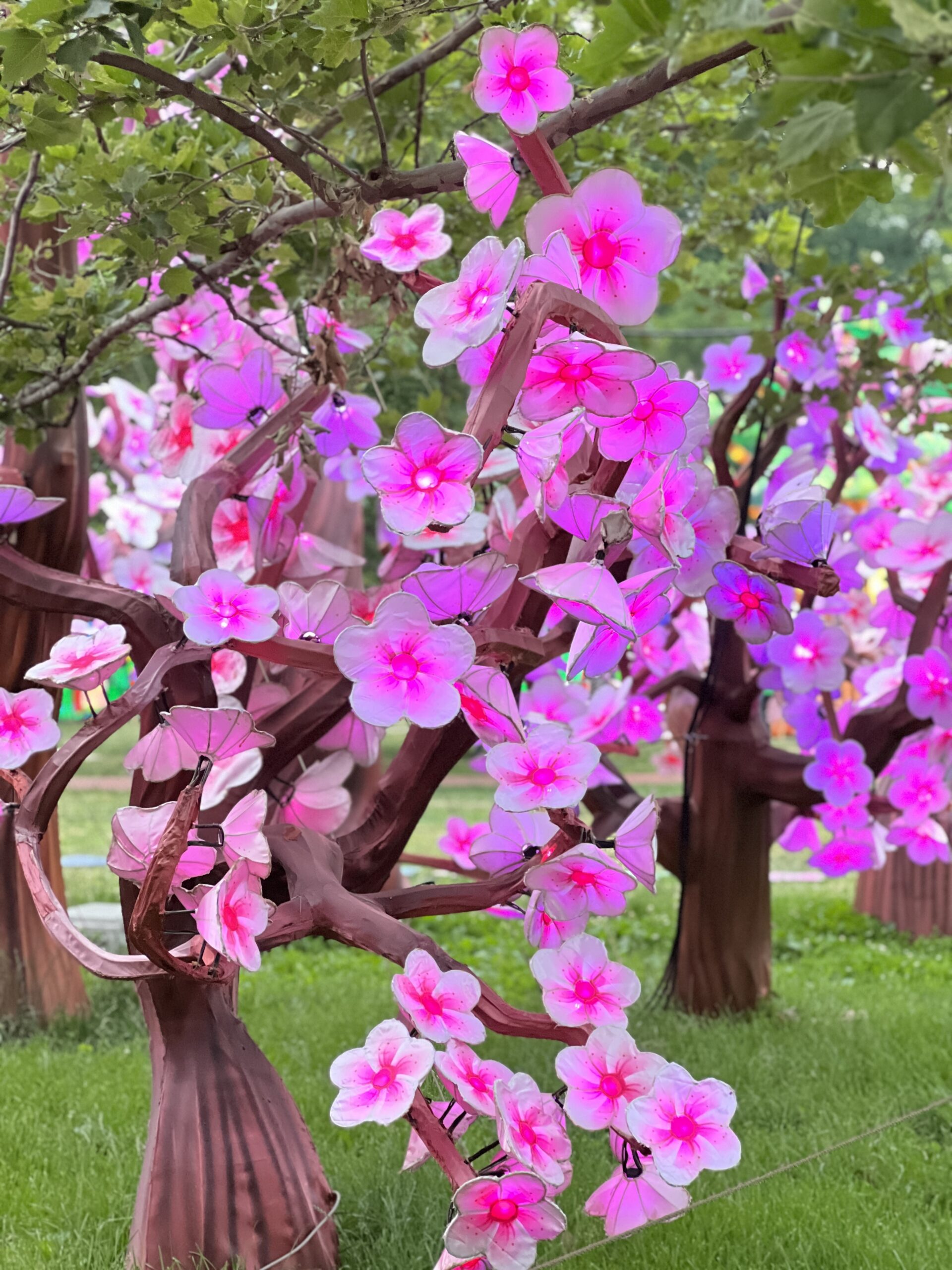 Cherry Blossom Forest at Philadelphia Chinese Lantern Festival daytime single tree slightly lit up Vertical
