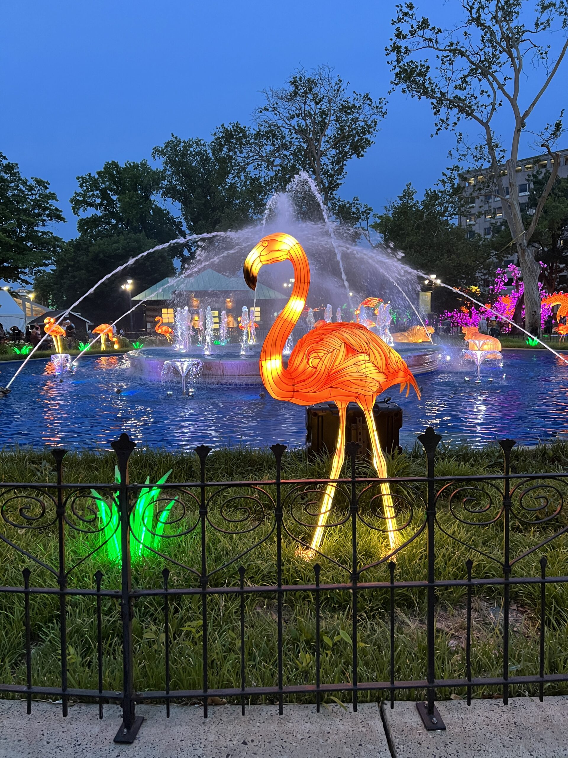 Flamingo at Rendell Family Fountain at Philadelphia Chinese Lantern Festival close up up nighttime Vertical