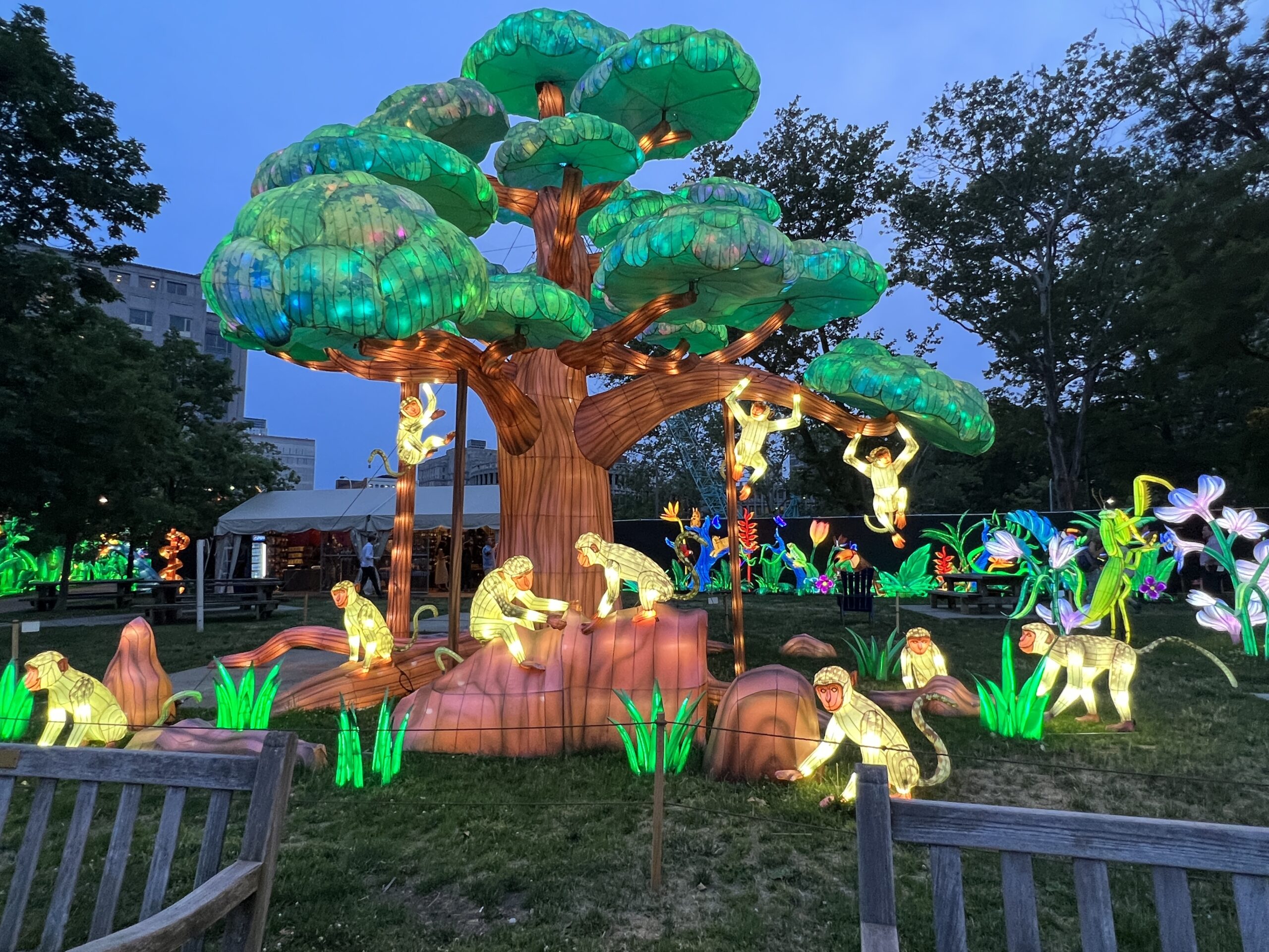 Monkeys playing on tree at Philadelphia Chinese Lantern Festival WIDE