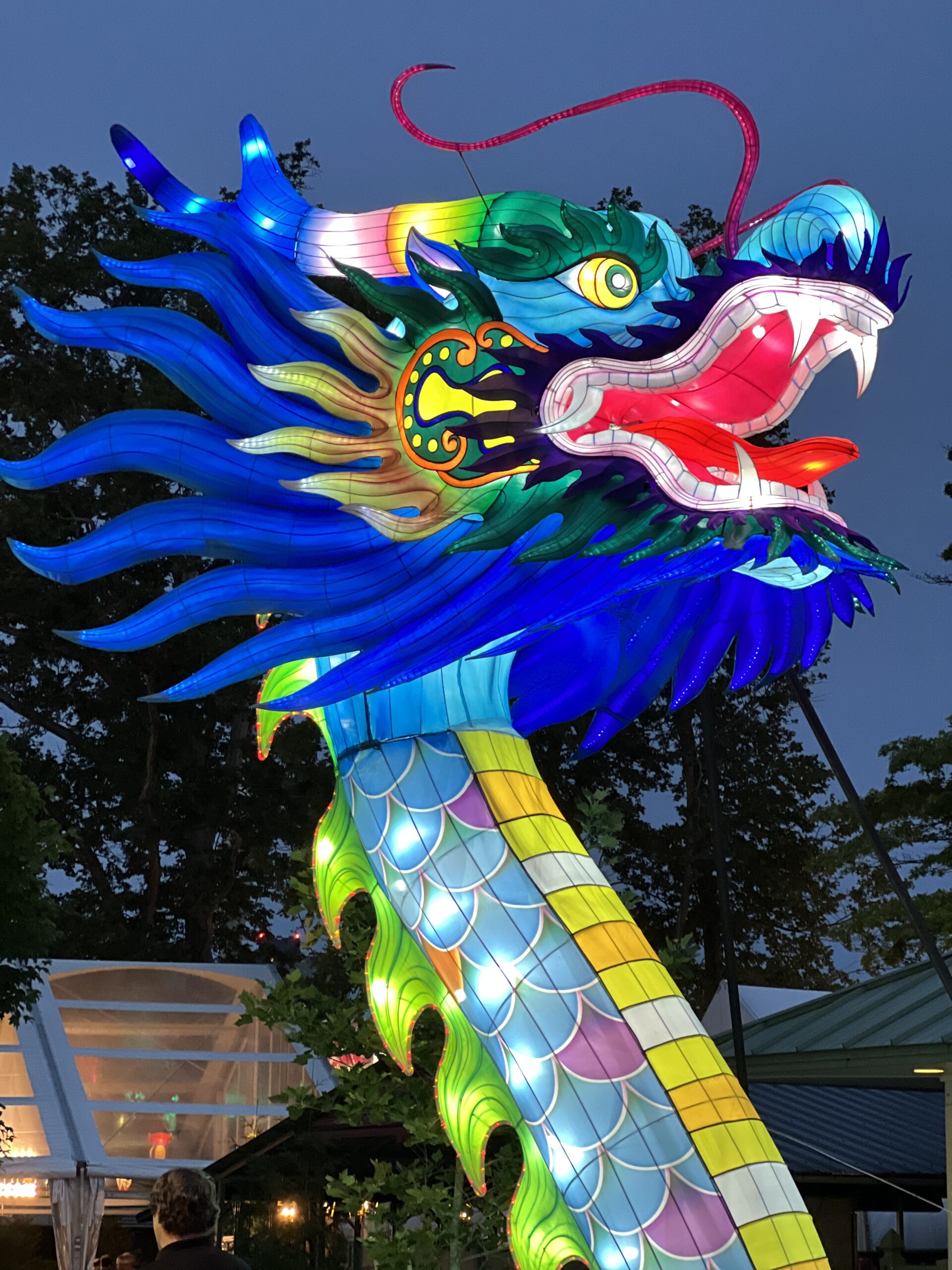 Sea Dragon Tunnel at Philadelphia Chinese Lantern Festival sea dragon head and neck close up at nighttime Vertical