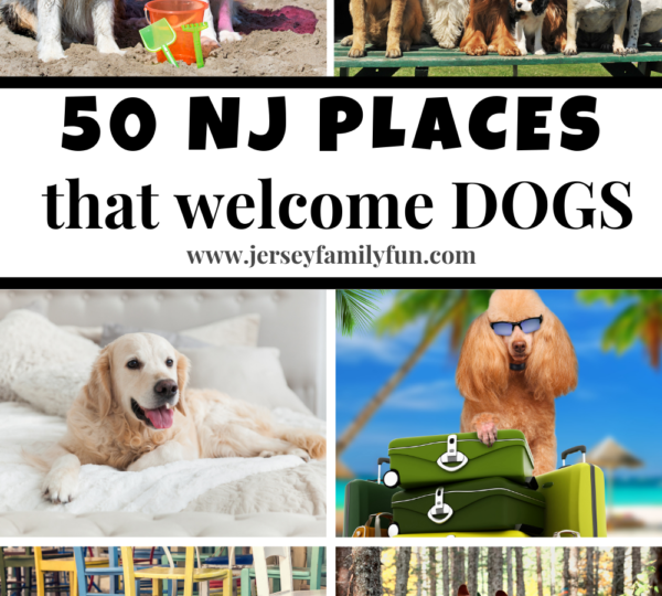 50 NJ Places that welcome dogs