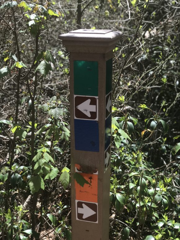Trail markers make it easy to find your way while hiking Parvin State Park trails.