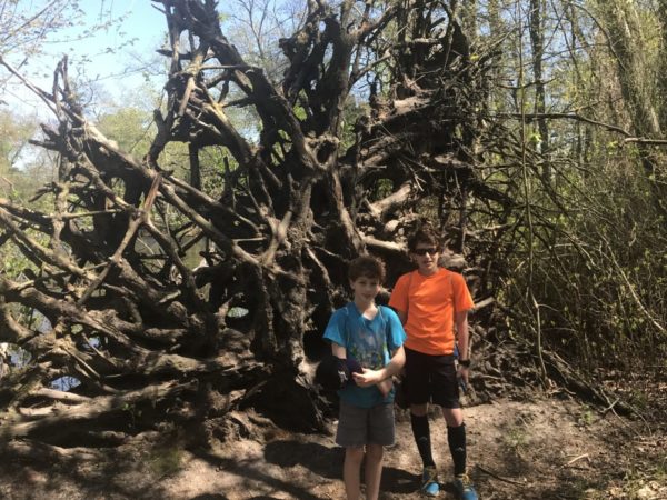 Parvin State Park tree structure on Parvin Lake Trail