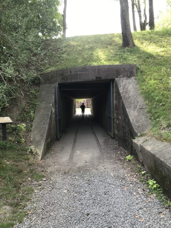 Battery Lane Ammunition Railway at Fort Mott