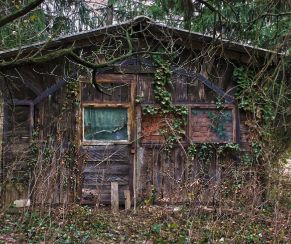 haunted house in the woods