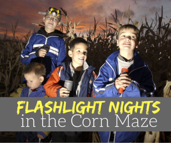 Flashlight Nights in the Corn Maze in Galloway NJ