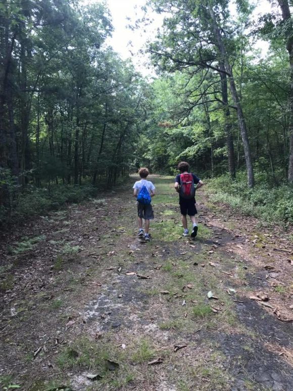 Belleplain State Forest hiking trail