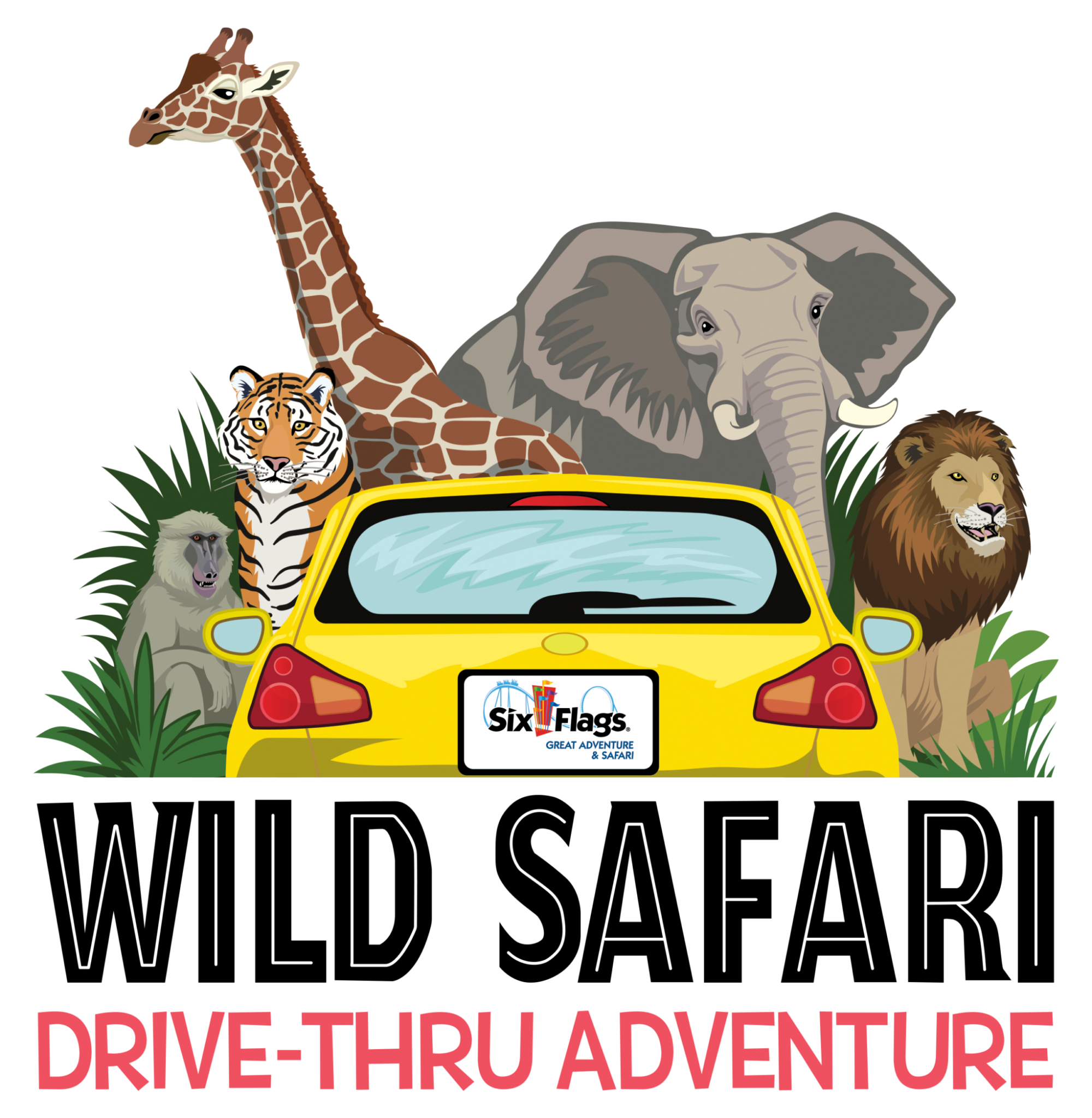 great adventure safari drive through