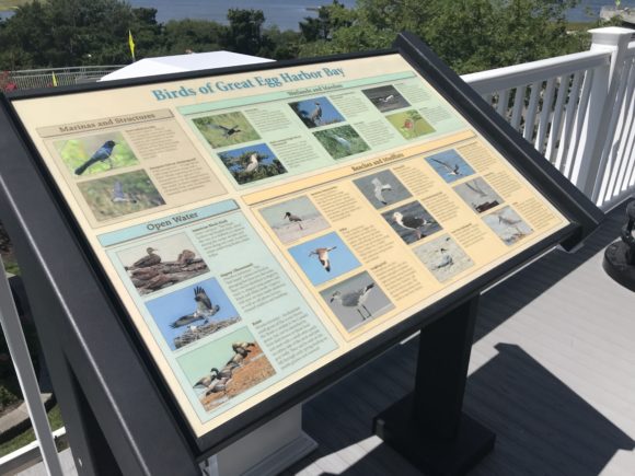 Signage depicting the different birds of Great Egg Harbor Bay.